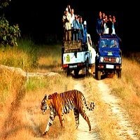 Jim Corbett National Park Uttarakhand Tourism